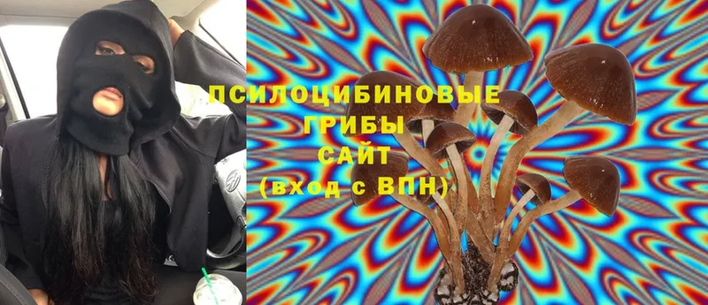 магазин продажи наркотиков  Крымск  Псилоцибиновые грибы Magic Shrooms 